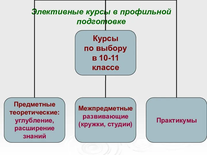 Элективные курсы в профильной подготовке