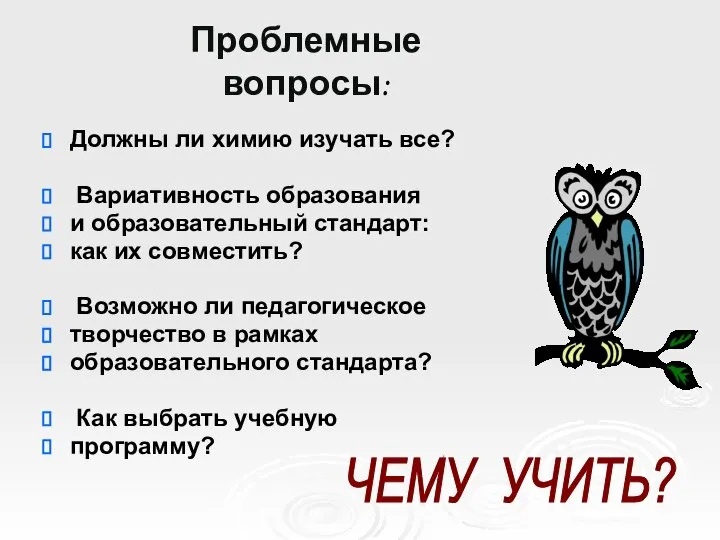 Проблемные вопросы: Должны ли химию изучать все? Вариативность образования и образовательный