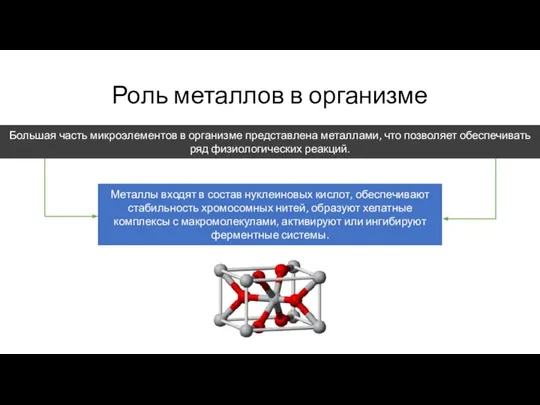 Роль металлов в организме Большая часть микроэлементов в организме представлена металлами,