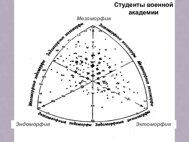 Студенты военной академии Мезоморфия Эндоморфия Эктоморфия