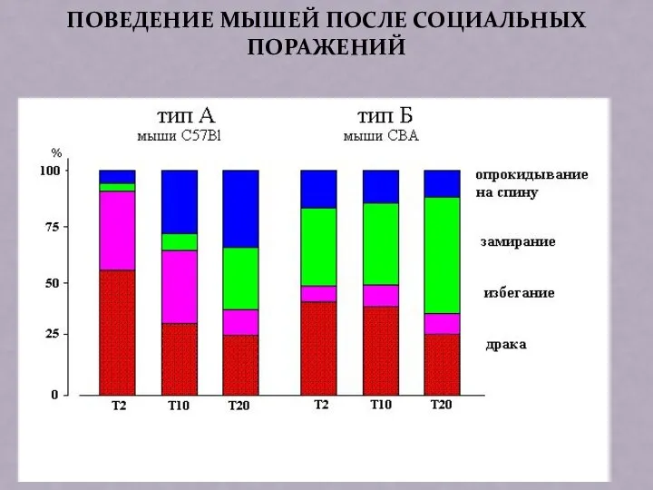 ПОВЕДЕНИЕ МЫШЕЙ ПОСЛЕ СОЦИАЛЬНЫХ ПОРАЖЕНИЙ