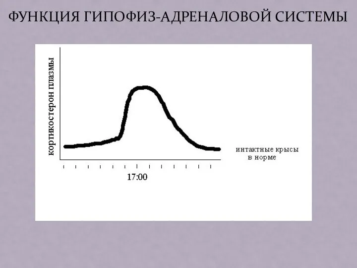 ФУНКЦИЯ ГИПОФИЗ-АДРЕНАЛОВОЙ СИСТЕМЫ