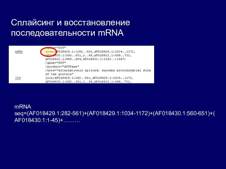 Сплайсинг и восстановление последовательности mRNA mRNA seq=(AF018429.1:282-561)+(AF018429.1:1034-1172)+(AF018430.1:560-651)+(AF018430.1:1-45)+………