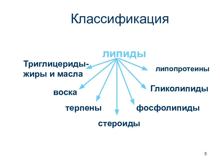 Классификация липиды Триглицериды- жиры и масла воска терпены стероиды фосфолипиды Гликолипиды липопротеины