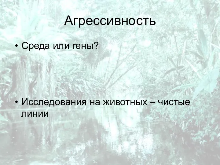 Агрессивность Среда или гены? Исследования на животных – чистые линии