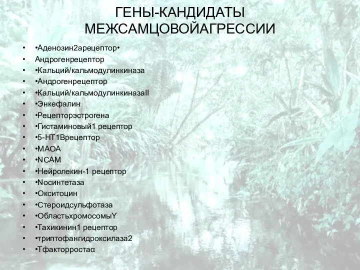 ГЕНЫ-КАНДИДАТЫ МЕЖСАМЦОВОЙАГРЕССИИ •Аденозин2арецептор• Андрогенрецептор •Кальций/кальмодулинкиназа •Андрогенрецептор •Кальций/кальмодулинкиназаII •Энкефалин •Рецепторэстрогена •Гистаминовый1 рецептор