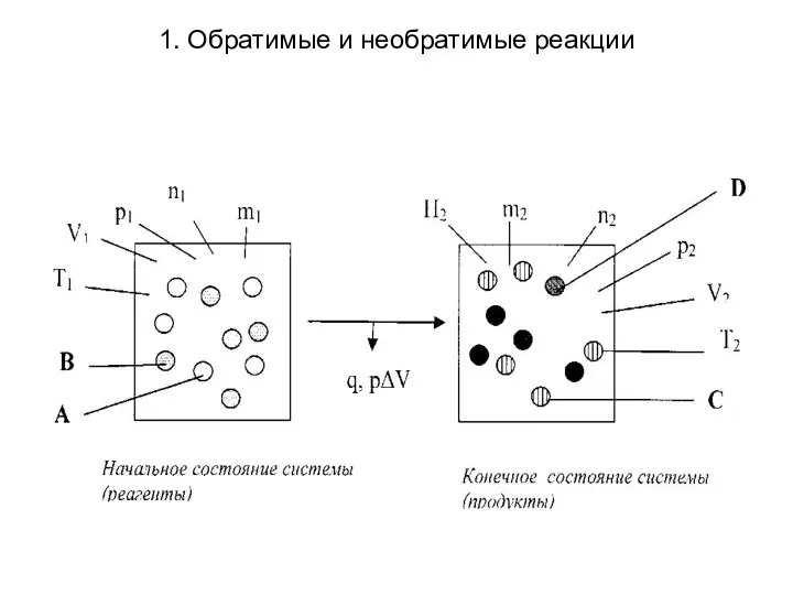 1. Обратимые и необратимые реакции