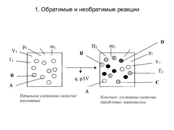 1. Обратимые и необратимые реакции