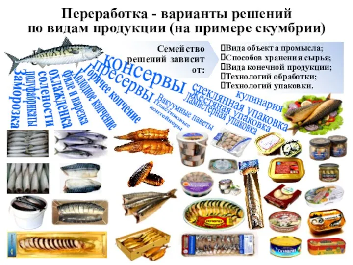 Переработка - варианты решений по видам продукции (на примере скумбрии) Заморозка