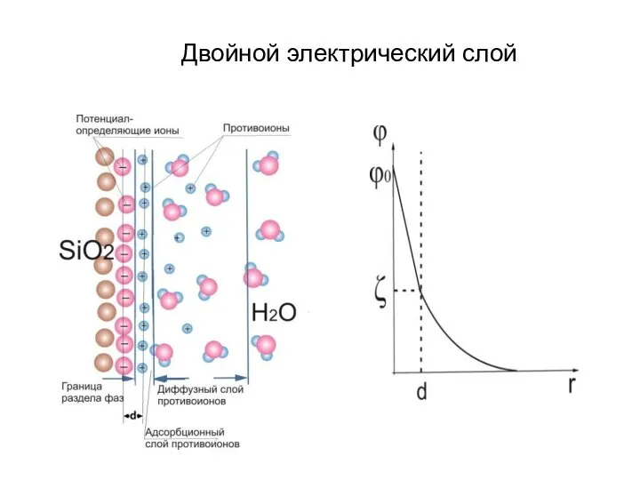 Двойной электрический слой