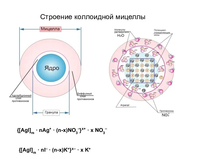 Строение коллоидной мицеллы {[AgI]m · nI– · (n-x)K+}x– · x K+