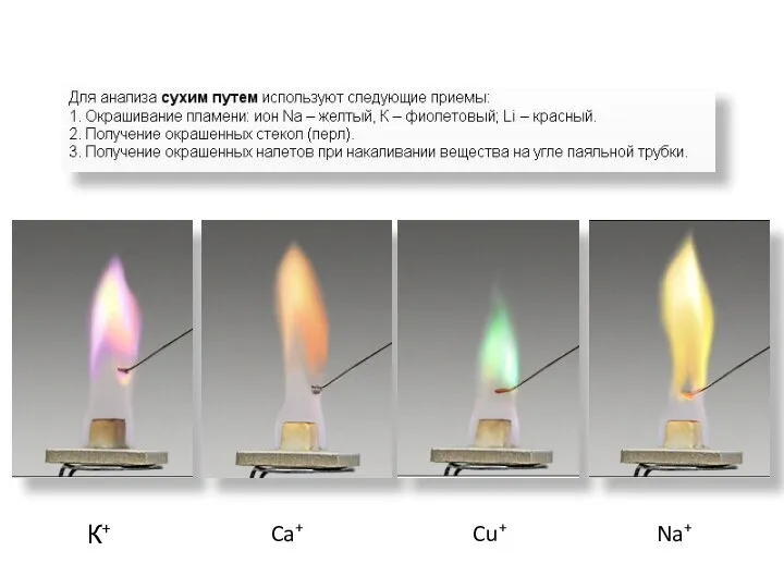 К+ Na+ Ca+ Cu+