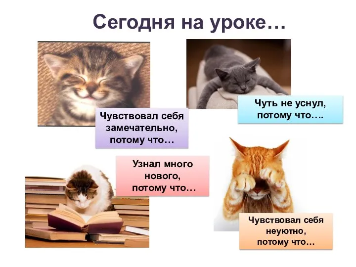 Сегодня на уроке… Чувствовал себя замечательно, потому что… Узнал много нового,