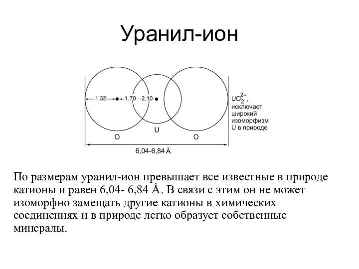 Уранил-ион По размерам уранил-ион превышает все известные в природе катионы и