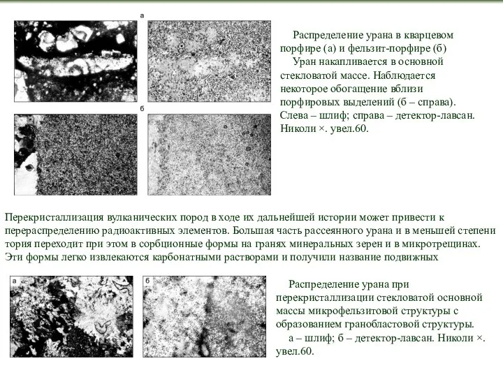 Распределение урана в кварцевом порфире (а) и фельзит-порфире (б) Уран накапливается