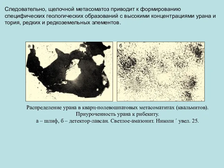 Распределение урана в кварц-полевошпатовых метасоматитах (квальмитов). Приуроченность урана к рибекиту. а