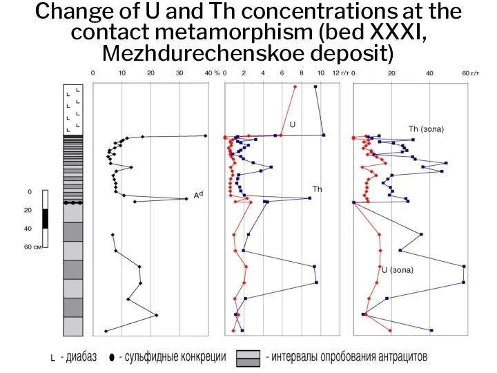 Change of U and Th concentrations at the contact metamorphism (bed XXXI, Мezhdurechenskoe deposit)