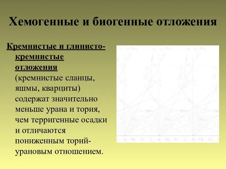 Хемогенные и биогенные отложения Кремнистые и глинисто-кремнистые отложения (кремнистые сланцы, яшмы,