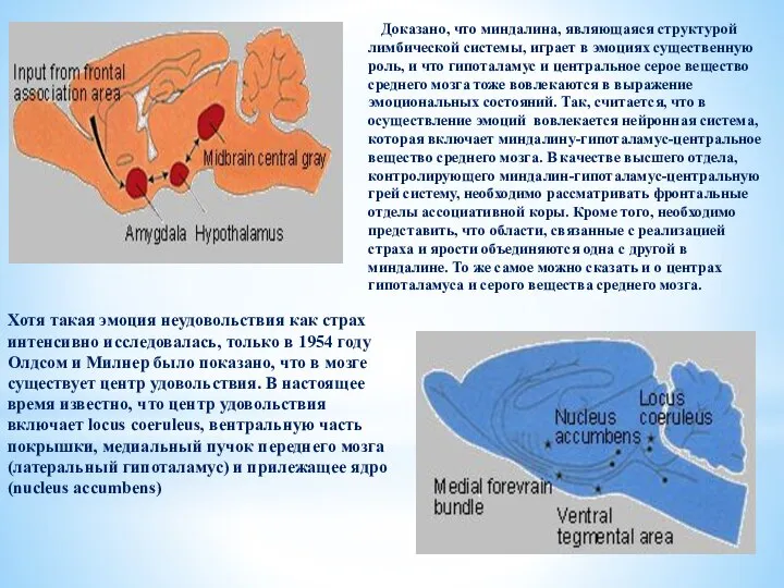 Доказано, что миндалина, являющаяся структурой лимбической системы, играет в эмоциях существенную