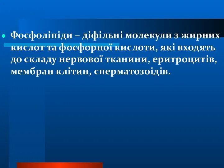 Фосфоліпіди – діфільні молекули з жирних кислот та фосфорної кислоти, які