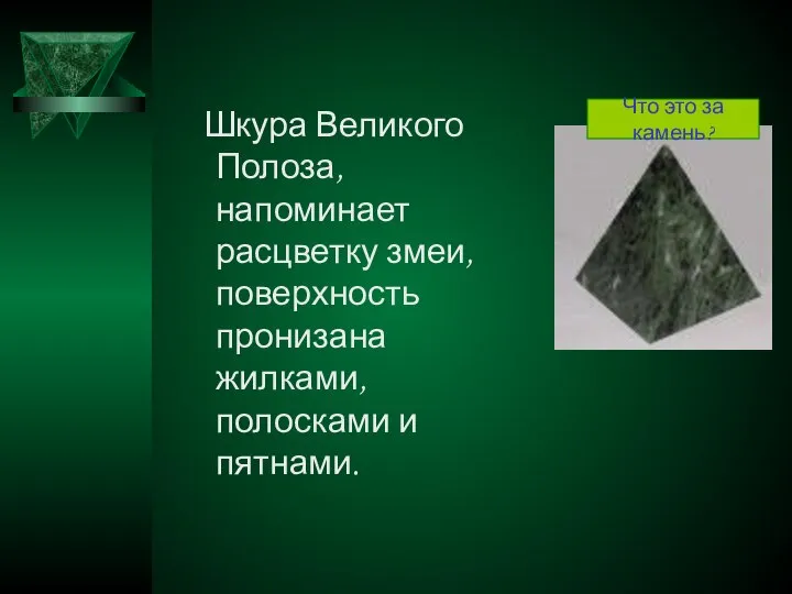 Шкура Великого Полоза, напоминает расцветку змеи, поверхность пронизана жилками, полосками и пятнами. Что это за камень?