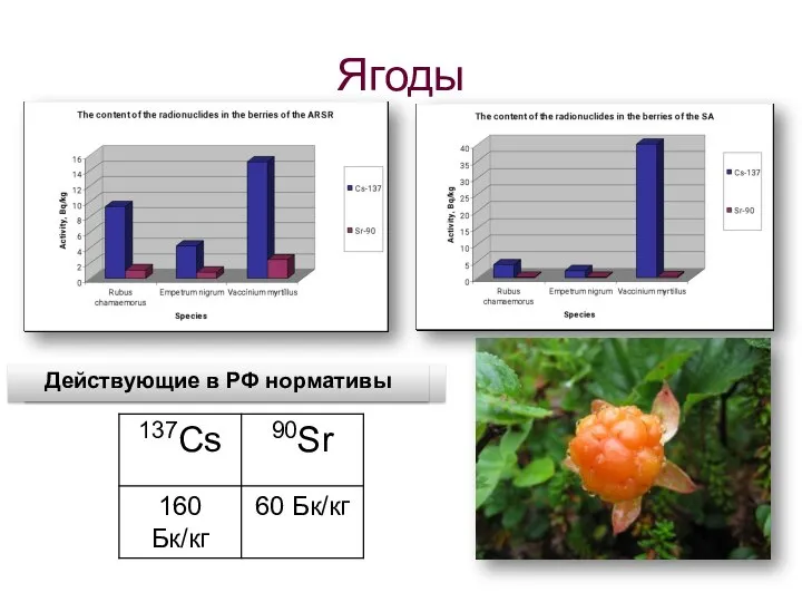 Ягоды Действующие в РФ нормативы Действующие в РФ нормативы
