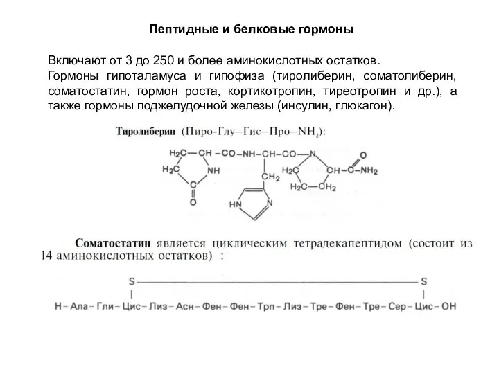 Пептидные и белковые гормоны Включают от 3 до 250 и более