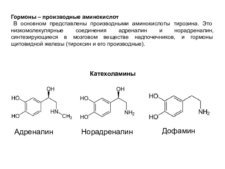 Гормоны – производные аминокислот В основном представлены производными аминокислоты тирозина. Это