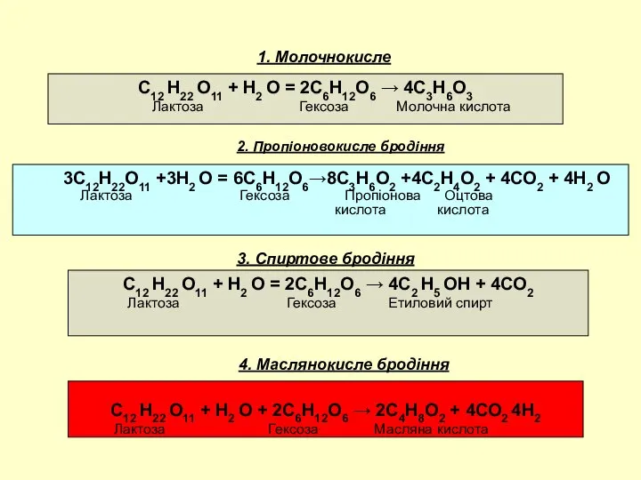 1. Молочнокисле С12 Н22 О11 + Н2 О = 2С6Н12О6 →
