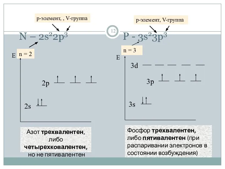 N – 2s22p3 P - 3s23p3