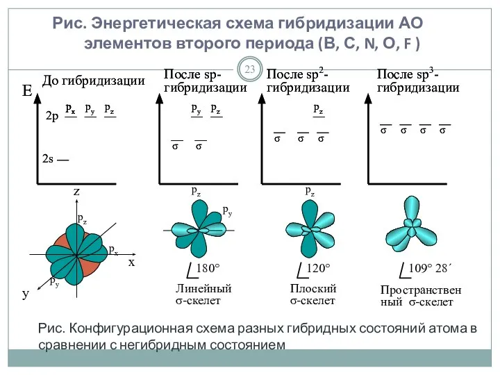 Рис. Энергетическая схема гибридизации АО элементов второго периода (В, С, N,