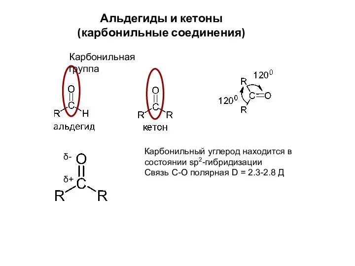 Альдегиды и кетоны (карбонильные соединения) Карбонильная группа Карбонильный углерод находится в