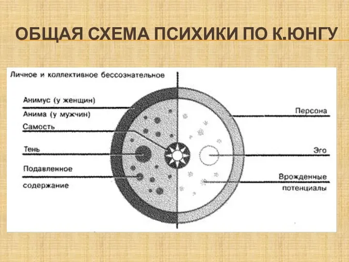 ОБЩАЯ СХЕМА ПСИХИКИ ПО К.ЮНГУ