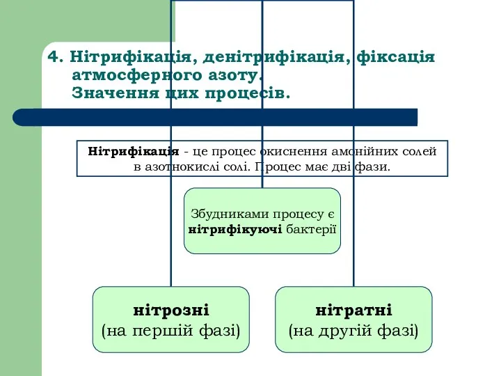 4. Нітрифікація, денітрифікація, фіксація атмосферного азоту. Значення цих процесів. Нітрифікація -