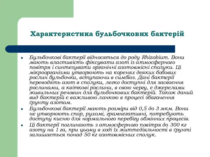 Характеристика бульбочкових бактерій Бульбочкові бактерії відносяться до роду Rhizobium. Вони мають