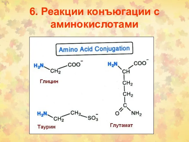 6. Реакции конъюгации с аминокислотами