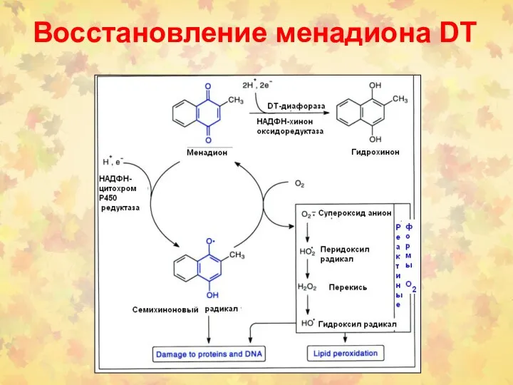 Восстановление менадиона DT