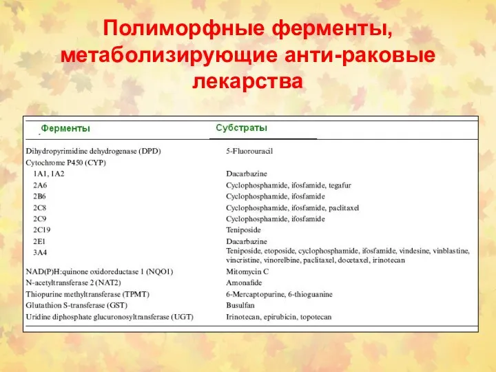 Полиморфные ферменты, метаболизирующие анти-раковые лекарства