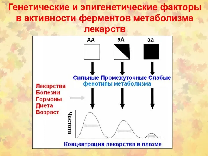 Генетические и эпигенетические факторы в активности ферментов метаболизма лекарств