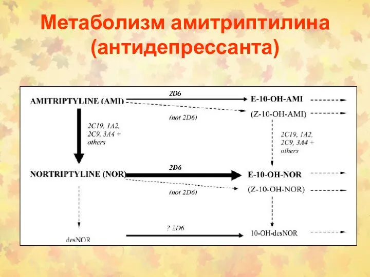 Метаболизм амитриптилина (антидепрессанта)