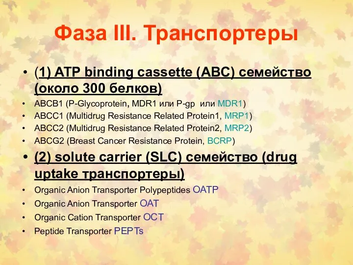 Фаза III. Транспортеры (1) ATP binding cassette (ABC) семейство (около 300