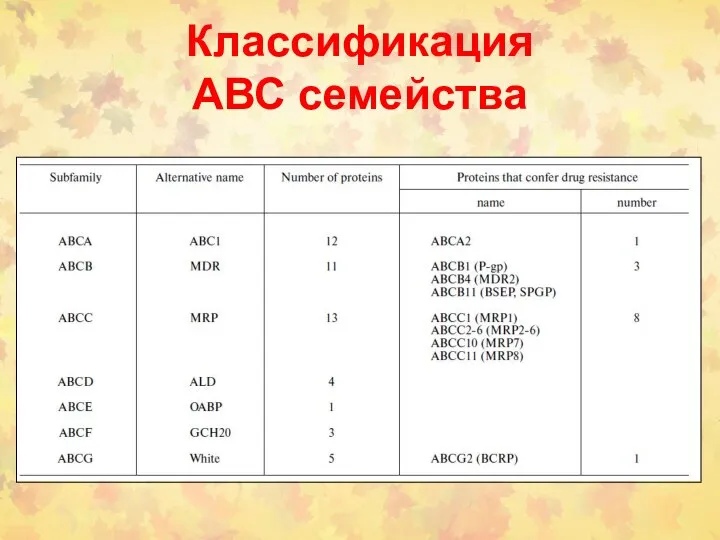 Классификация АВС семейства