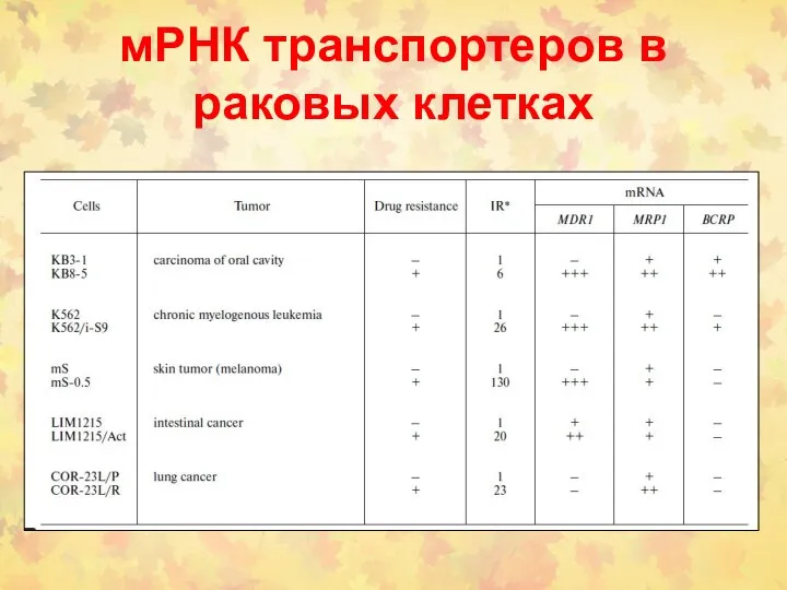 мРНК транспортеров в раковых клетках