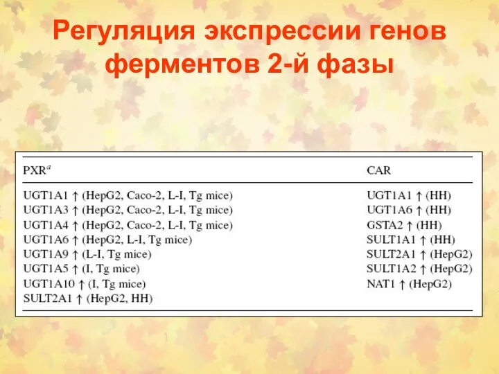 Регуляция экспрессии генов ферментов 2-й фазы