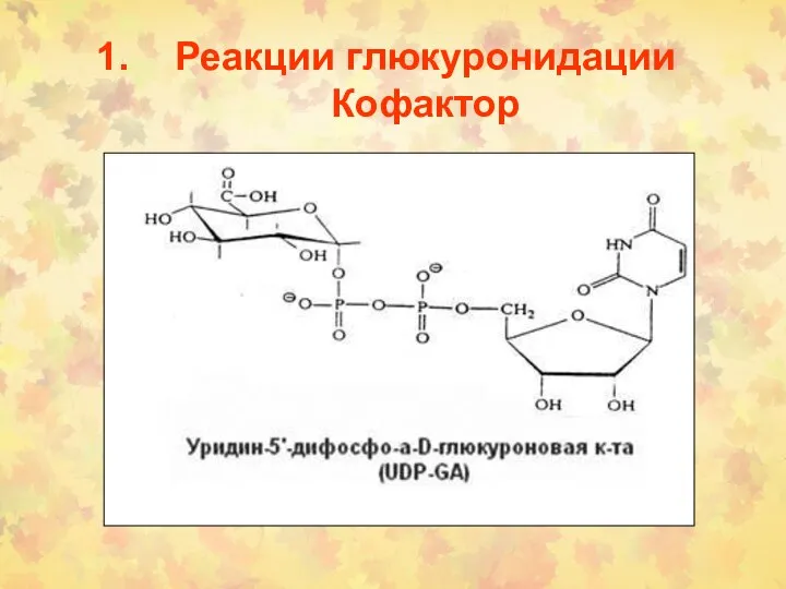 Реакции глюкуронидации Кофактор