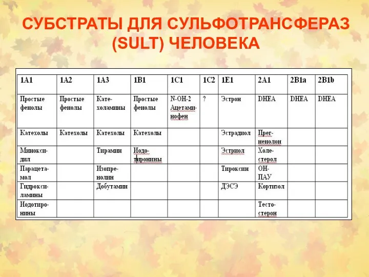 СУБСТРАТЫ ДЛЯ СУЛЬФОТРАНСФЕРАЗ (SULT) ЧЕЛОВЕКА