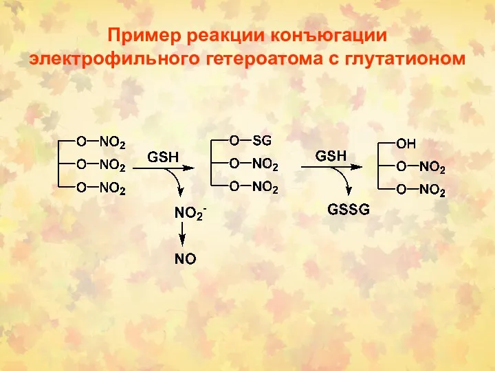 Пример реакции конъюгации электрофильного гетероатома с глутатионом