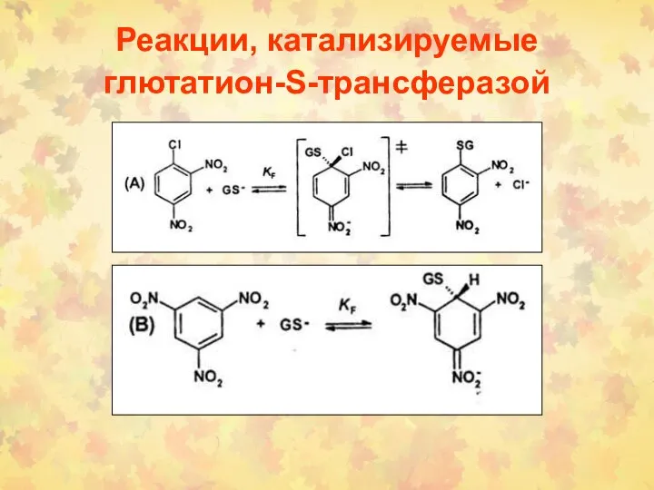 Реакции, катализируемые глютатион-S-трансферазой