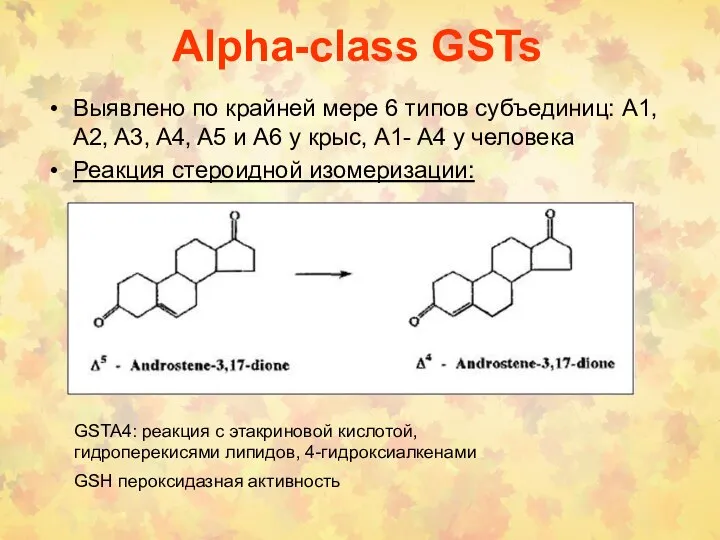 Alpha-class GSTs Выявлено по крайней мере 6 типов субъединиц: A1, A2,