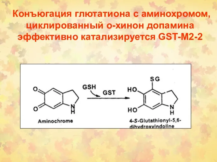 Конъюгация глютатиона с аминохромом, циклированный о-хинон допамина эффективно катализируется GST-M2-2